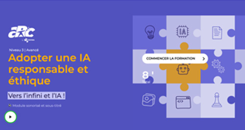 Niveau 3
